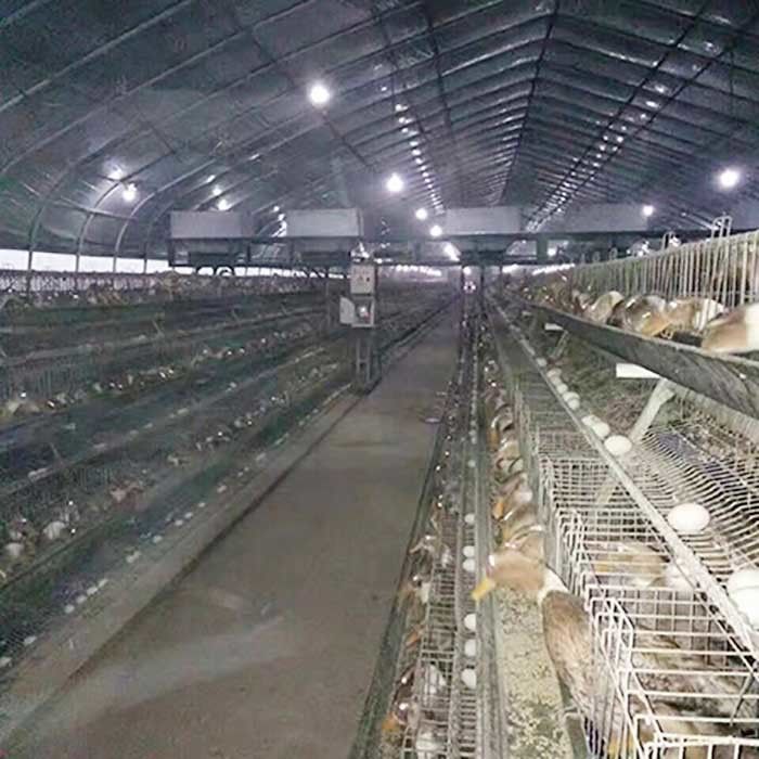 قفس پرورش اردک لایه مرغی برای پرورش مرغداری